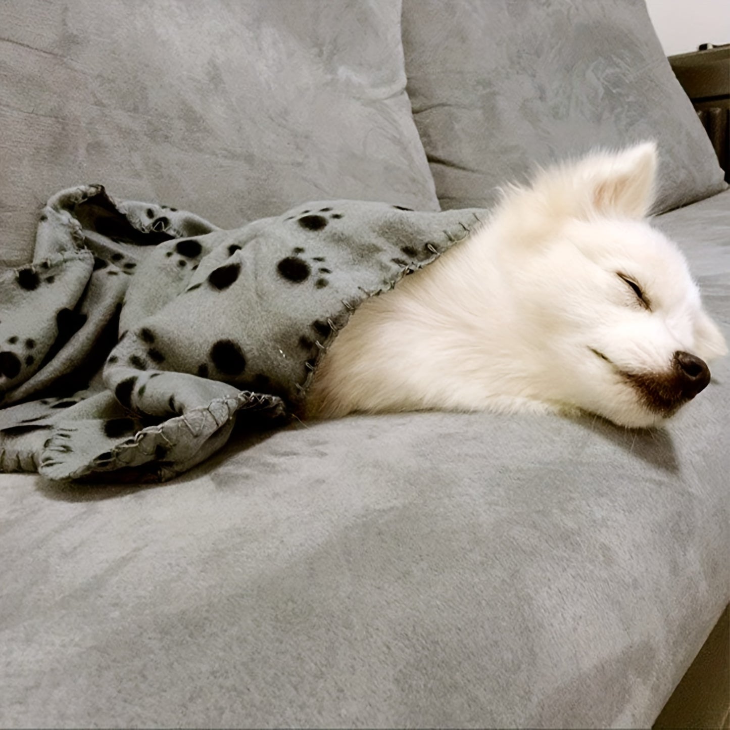 6-Pack of Warm Paw Print Dog Blanket Bed Covers to Keep Your Furry Pets Cozy!